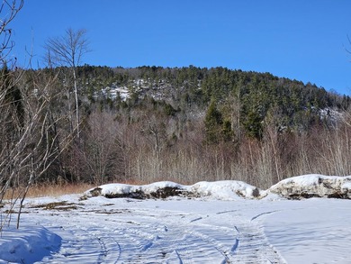 SECLUDED OFF-GRID LAND WITH DIRECT ACCESS TO ITS 87 SNOWMOBILE - photo 34