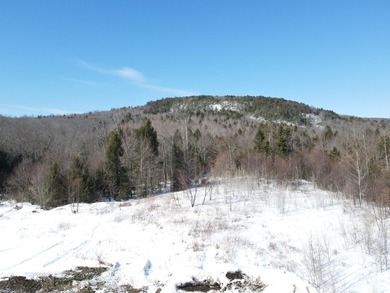 SECLUDED OFF-GRID LAND WITH DIRECT ACCESS TO ITS 87 SNOWMOBILE - photo 35