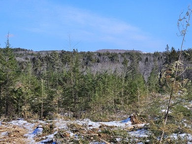 SECLUDED OFF-GRID LAND WITH DIRECT ACCESS TO ITS 87 SNOWMOBILE - photo 36
