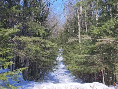 SECLUDED OFF-GRID LAND WITH DIRECT ACCESS TO ITS 87 SNOWMOBILE - photo 37