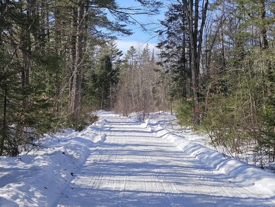SECLUDED OFF-GRID LAND WITH DIRECT ACCESS TO ITS 87 SNOWMOBILE - photo 38