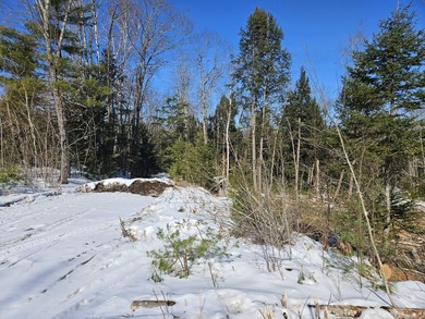 SECLUDED OFF-GRID LAND WITH DIRECT ACCESS TO ITS 87 SNOWMOBILE - photo 39