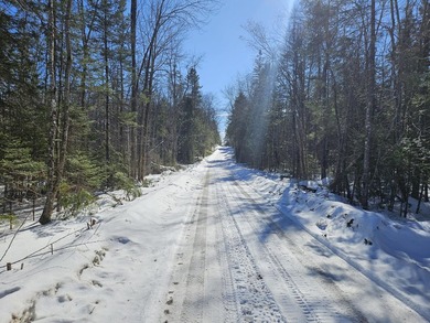 SECLUDED OFF-GRID LAND WITH DIRECT ACCESS TO ITS 87 SNOWMOBILE - photo 40