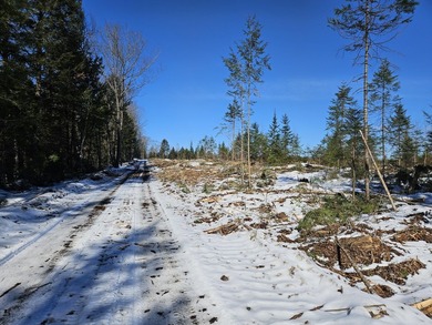 SECLUDED OFF-GRID LAND WITH DIRECT ACCESS TO ITS 87 SNOWMOBILE - photo 41