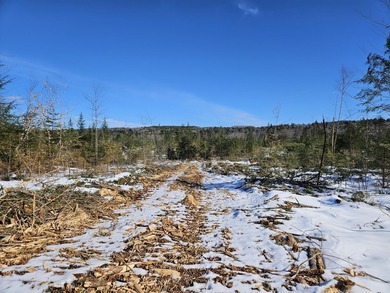 SECLUDED OFF-GRID LAND WITH DIRECT ACCESS TO ITS 87 SNOWMOBILE - photo 42