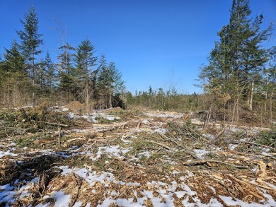 SECLUDED OFF-GRID LAND WITH DIRECT ACCESS TO ITS 87 SNOWMOBILE - photo 43