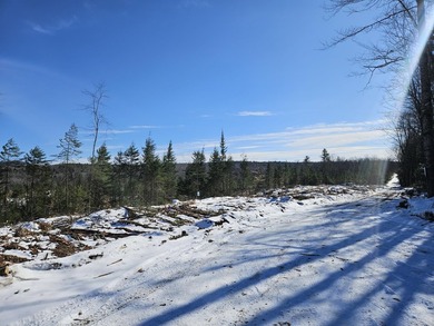 SECLUDED OFF-GRID LAND WITH DIRECT ACCESS TO ITS 87 SNOWMOBILE - photo 44