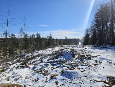 SECLUDED OFF-GRID LAND WITH DIRECT ACCESS TO ITS 87 SNOWMOBILE - photo 45