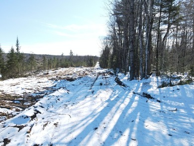 SECLUDED OFF-GRID LAND WITH DIRECT ACCESS TO ITS 87 SNOWMOBILE - photo 46