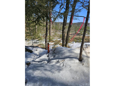 SECLUDED OFF-GRID LAND WITH DIRECT ACCESS TO ITS 87 SNOWMOBILE - photo 47