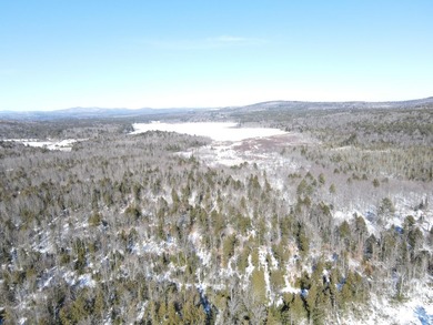 SECLUDED OFF-GRID LAND WITH DIRECT ACCESS TO ITS 87 SNOWMOBILE - photo 49