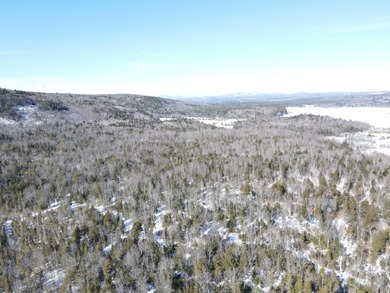 SECLUDED OFF-GRID LAND WITH DIRECT ACCESS TO ITS 87 SNOWMOBILE - photo 50