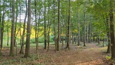 Experience year-round vacation living on this stunning 12-acre - photo 11