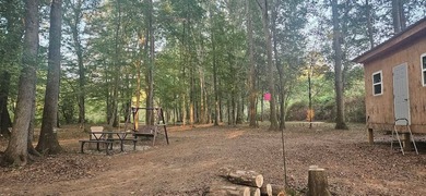 Experience year-round vacation living on this stunning 12-acre - photo 15