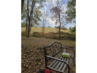 Experience year-round vacation living on this stunning 12-acre - photo 17