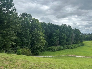 Experience year-round vacation living on this stunning 12-acre - photo 21