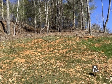 Lake Lot For Sale in Ellijay, Georgia