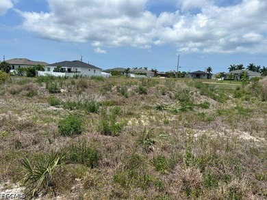 Triple lot in one of Cape Corals faster growing areas. Take a - photo 3