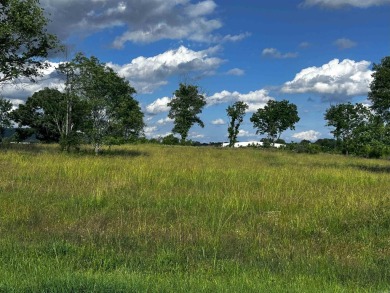Lake Acreage For Sale in Pottsville, Arkansas