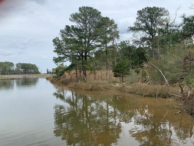 Great lot toward the end of Windmill Point Road just before - photo 11