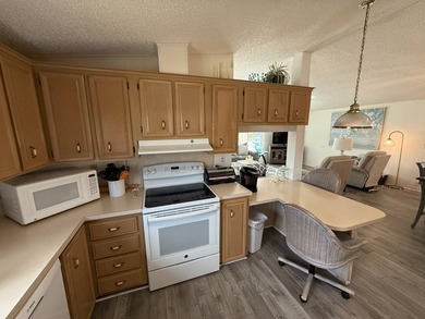 This well cared for 2-bedroom, 2-bathroom Palm Harbor home is - photo 15