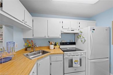You will not want to miss this incredible deal in the 55+ - photo 10