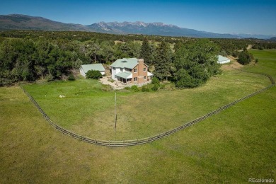(private lake, pond, creek) Home For Sale in Cotopaxi Colorado