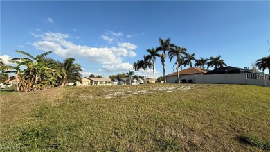 Cape Coral Lakes Area Lot Sale Pending in Cape Coral Florida