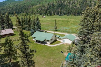 Lake Home For Sale in Vallecito Lake, Colorado