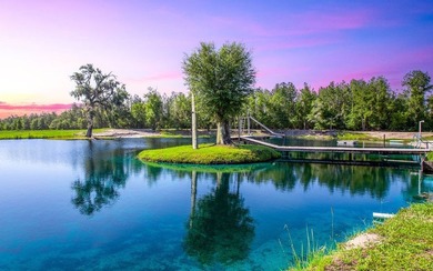 If you've been dreaming of the country lifestyle, this 10-acre - photo 37