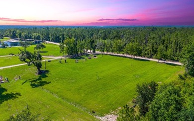 If you've been dreaming of the country lifestyle, this 10-acre - photo 43