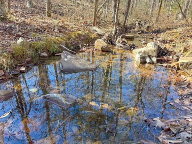 Lake Acreage For Sale in Mayflower, Arkansas