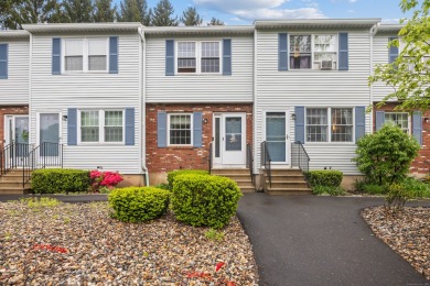 Lake Condo For Sale in Plymouth, Connecticut