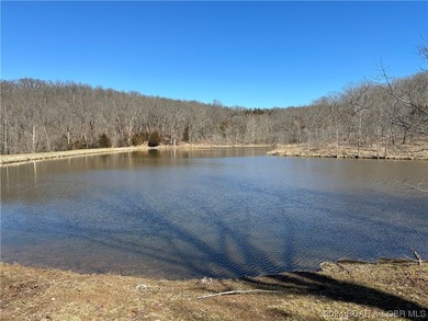 TWO SECLUDED ADJOINING TRACTS with 5.7 ACRES in the 12,800 Acre - photo 12