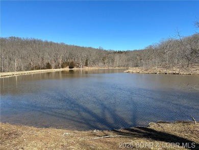 TWO SECLUDED ADJOINING TRACTS with 5.7 ACRES in the 12,800 Acre - photo 12