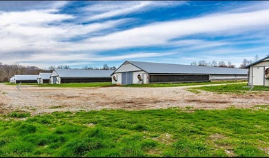 Kentucky Poultry farm with Tyson Contract (currently on Pay - photo 12