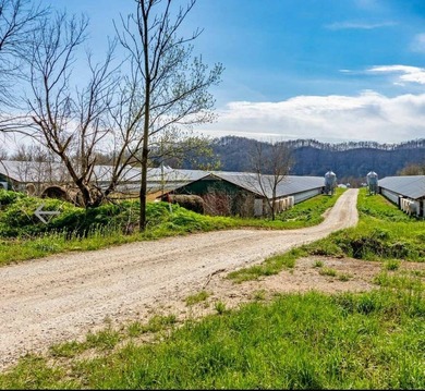 Kentucky Poultry farm with Tyson Contract (currently on Pay - photo 13