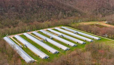 Kentucky Poultry farm with Tyson Contract (currently on Pay - photo 15
