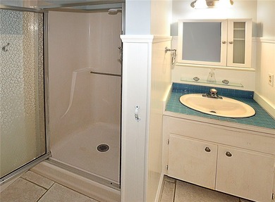 RARE FIND...1st Floor remodeled 2 Bed/2 Bath partially furnished - photo 15