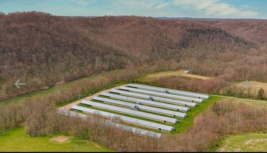 Kentucky Poultry farm with Tyson Contract (currently on Pay - photo 16