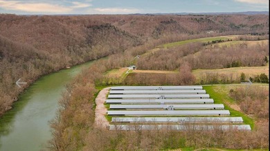 Kentucky Poultry farm with Tyson Contract (currently on Pay - photo 17