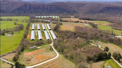 Kentucky Poultry farm with Tyson Contract (currently on Pay - photo 18