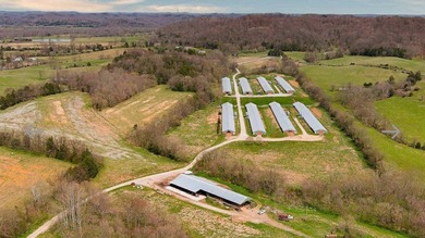 Kentucky Poultry farm with Tyson Contract (currently on Pay - photo 19