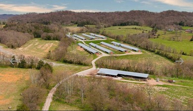 Kentucky Poultry farm with Tyson Contract (currently on Pay - photo 20