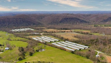 Kentucky Poultry farm with Tyson Contract (currently on Pay - photo 21