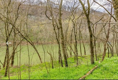 Kentucky Poultry farm with Tyson Contract (currently on Pay - photo 24