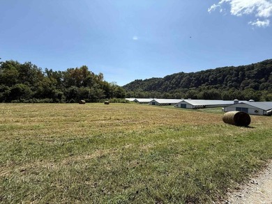 Kentucky Poultry farm with Tyson Contract (currently on Pay - photo 25