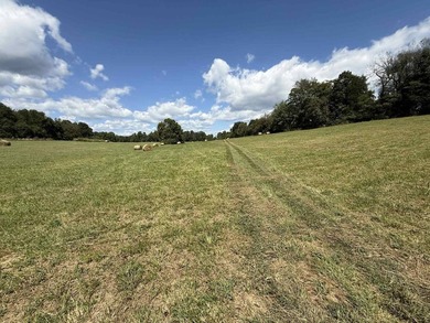 Kentucky Poultry farm with Tyson Contract (currently on Pay - photo 30