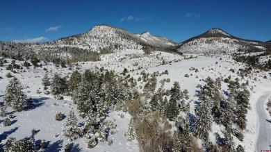 Lake Lot For Sale in South Fork, Colorado