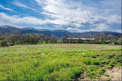 Kentucky Poultry farm with Tyson Contract (currently on Pay - photo 32